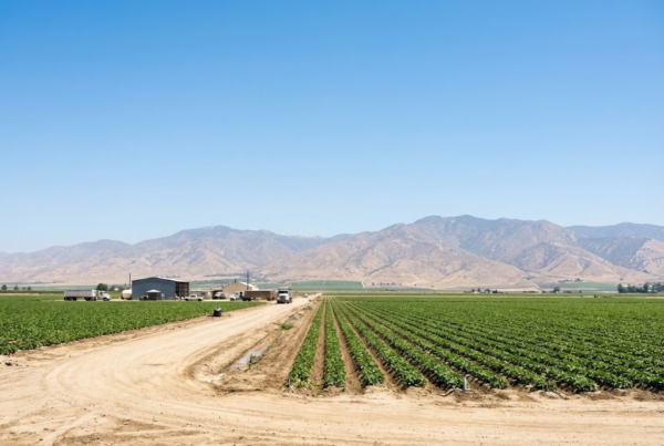 Bakersfield Central Valley environment showing climate factors affecting blepharoplasty recovery and eye health