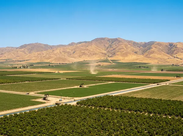 Bakersfield's intense Central Valley sunlight requiring sun protection after forehead filler treatment